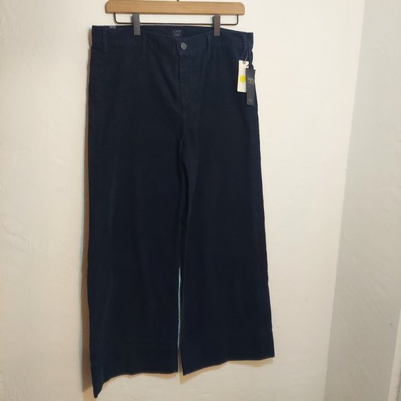 Anthropologie Citizens of Humanity Corduroy Pants - Picture 1 of 7